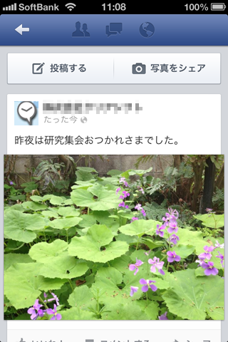 fbpage013